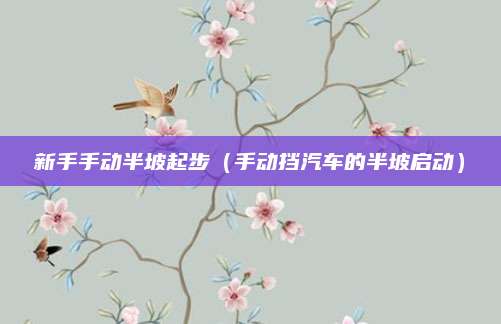 新手手动半坡起步(手动挡汽车的半坡启动)