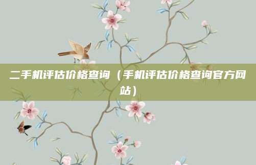 二手机评估价格查询(手机评估价格查询官方网站)