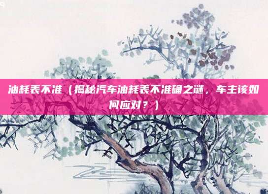 油耗表不准(揭秘汽车油耗表不准确之谜,车主该如何应对?)