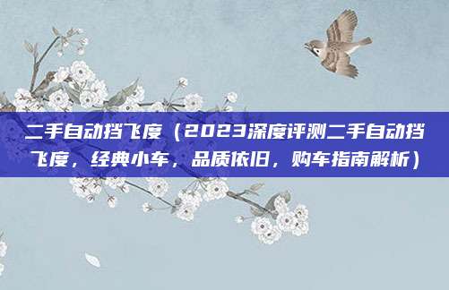 二手自动挡飞度(2023深度评测二手自动挡飞度,经典小车,品质依旧,购车指南解析)