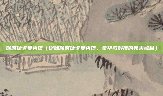 保时捷卡曼内饰(探秘保时捷卡曼内饰,豪华与科技的完美融合)