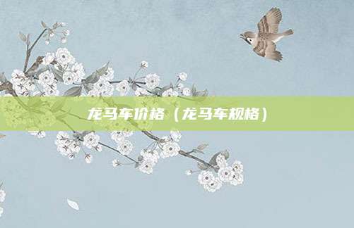 龙马车价格(龙马车规格)