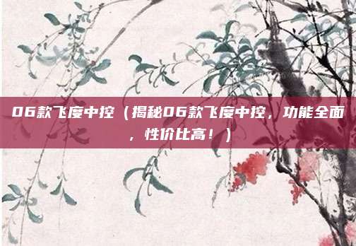 06款飞度中控(揭秘06款飞度中控,功能全面,性价比高!)