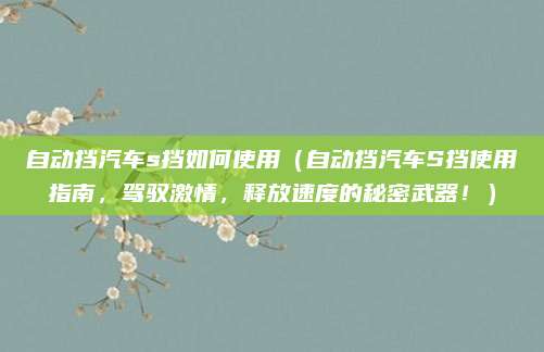 自动挡汽车s挡如何使用(自动挡汽车S挡使用指南,驾驭激情,释放速度的秘密武器!)