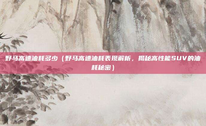 野马高速油耗多少(野马高速油耗表现解析,揭秘高性能SUV的油耗秘密)