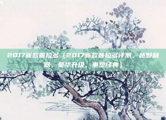 2017新款普拉多（2017新款普拉多评测，越野利器，豪华升级，重塑经典）