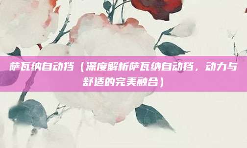 萨瓦纳自动挡（深度解析萨瓦纳自动挡，动力与舒适的完美融合）
