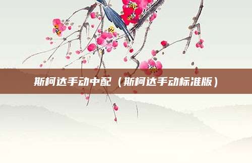 斯柯达手动中配(斯柯达手动标准版)