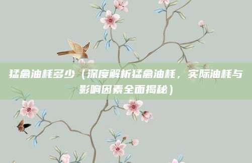 猛禽油耗多少(深度解析猛禽油耗,实际油耗与影响因素全面揭秘)