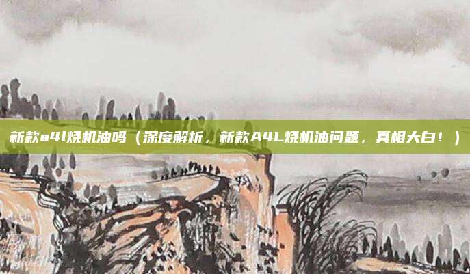 新款a4l烧机油吗(深度解析,新款A4L烧机油问题,真相大白!)