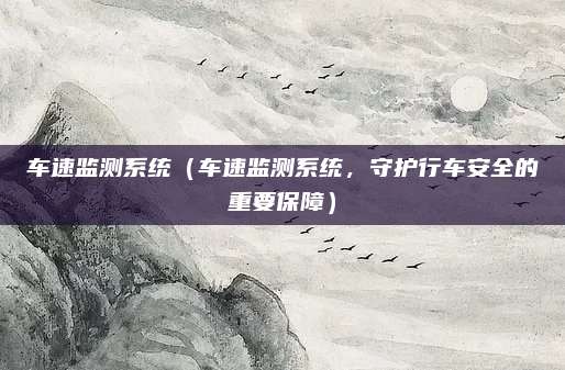 车速监测系统（车速监测系统，守护行车安全的重要保障）