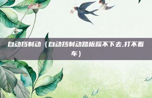 自动挡制动(自动挡制动踏板踩不下去,打不着车)