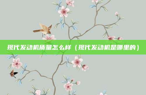 现代发动机质量怎么样(现代发动机是哪里的)