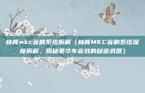 林肯mkc音响系统拆解（林肯MKC音响系统深度拆解，揭秘豪华车音效的秘密武器）