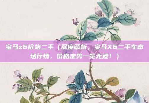 宝马x6价格二手(深度解析,宝马X6二手车市场行情,价格走势一览无遗!)