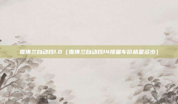 雪佛兰自动挡1.0(雪佛兰自动挡14排量车价格是多少)