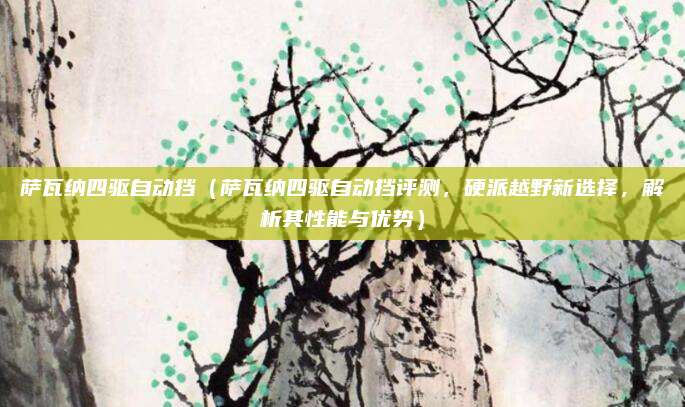 萨瓦纳四驱自动挡(萨瓦纳四驱自动挡评测,硬派越野新选择,解析其性能与优势)