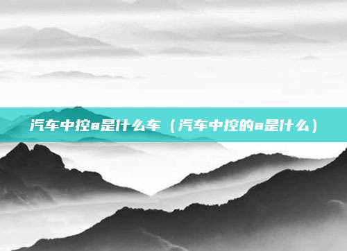 汽车中控a是什么车(汽车中控的a是什么)