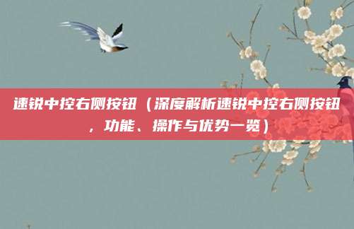 速锐中控右侧按钮(深度解析速锐中控右侧按钮,功能、操作与优势一览)