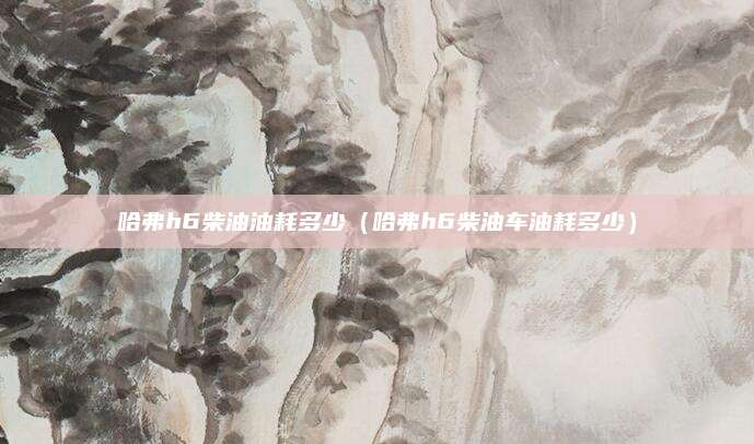 哈弗h6柴油油耗多少(哈弗h6柴油车油耗多少)