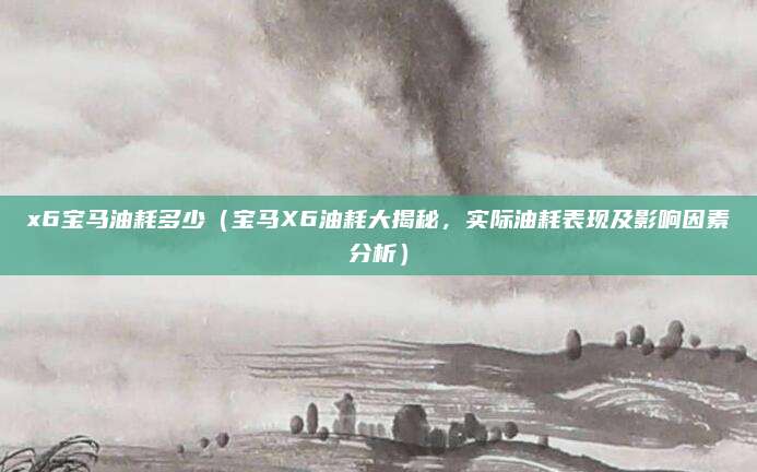 x6宝马油耗多少(宝马X6油耗大揭秘,实际油耗表现及影响因素分析)