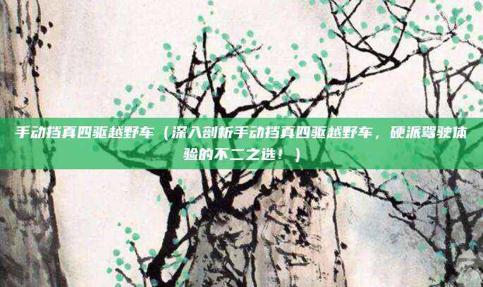 手动挡真四驱越野车(深入剖析手动挡真四驱越野车,硬派驾驶体验的不二之选!)