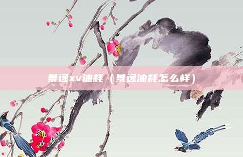景逸xv油耗(景逸油耗怎么样)
