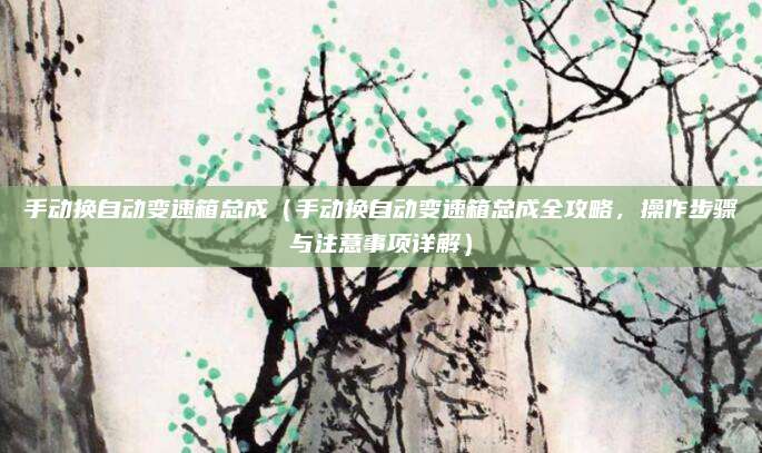手动换自动变速箱总成(手动换自动变速箱总成全攻略,操作步骤与注意事项详解)