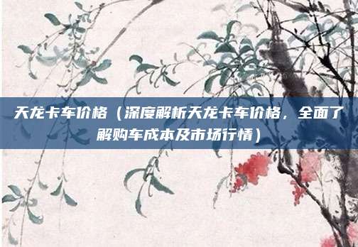 天龙卡车价格(深度解析天龙卡车价格,全面了解购车成本及市场行情)