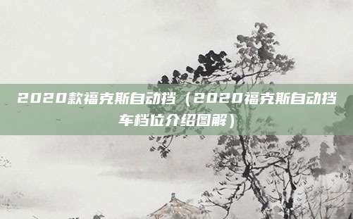 2020款福克斯自动挡(2020福克斯自动挡车档位介绍图解)
