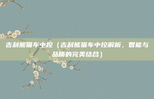 吉利熊猫车中控(吉利熊猫车中控解析,智能与品质的完美结合)