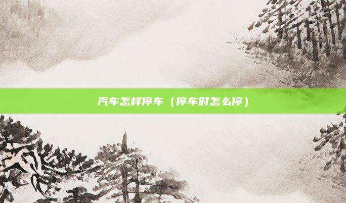 汽车怎样停车(停车时怎么停)