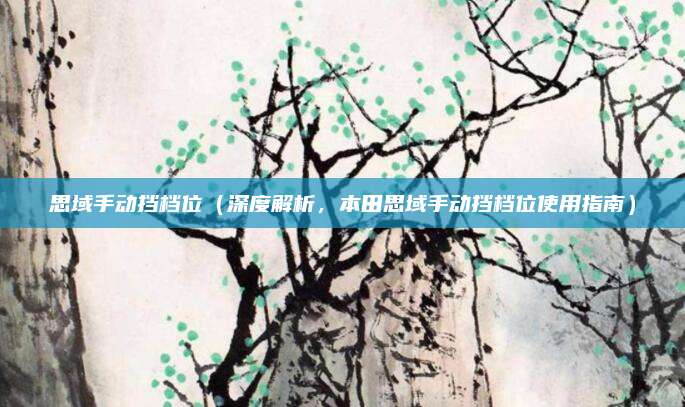 思域手动挡档位(深度解析,本田思域手动挡档位使用指南)