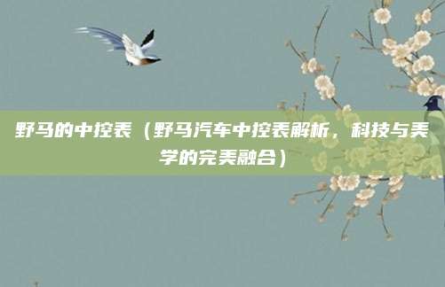 野马的中控表（野马汽车中控表解析，科技与美学的完美融合）
