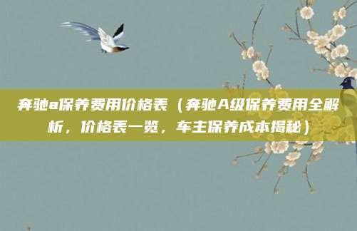 奔驰a保养费用价格表(奔驰A级保养费用全解析,价格表一览,车主保养成本揭秘)