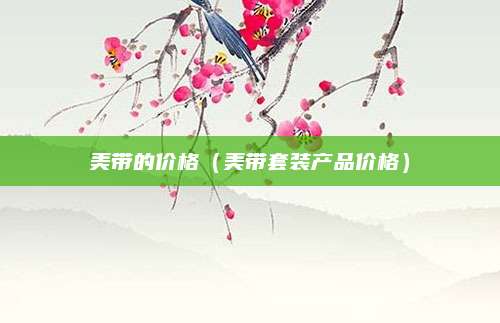 美带的价格(美带套装产品价格)