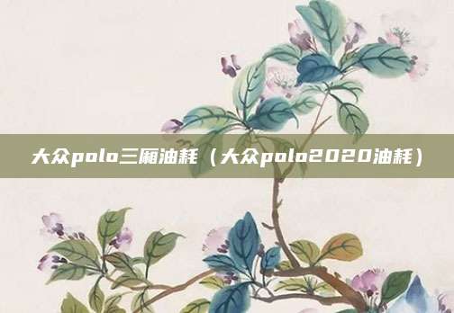 大众polo三厢油耗(大众polo2020油耗)