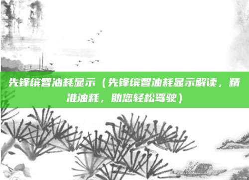 先锋缤智油耗显示（先锋缤智油耗显示解读，精准油耗，助您轻松驾驶）