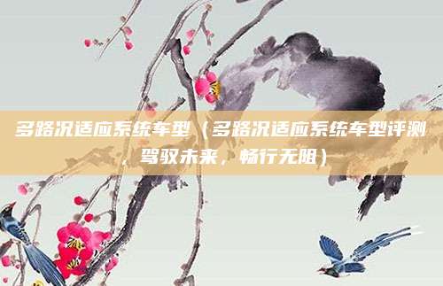 多路况适应系统车型（多路况适应系统车型评测，驾驭未来，畅行无阻）