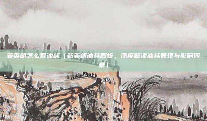 新英朗怎么看油耗（新英朗油耗解析，深度解读油耗表现与影响因素）