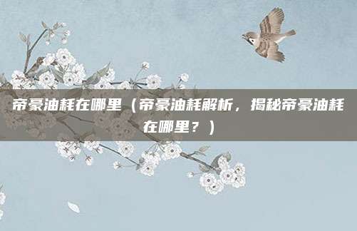 帝豪油耗在哪里(帝豪油耗解析,揭秘帝豪油耗在哪里?)