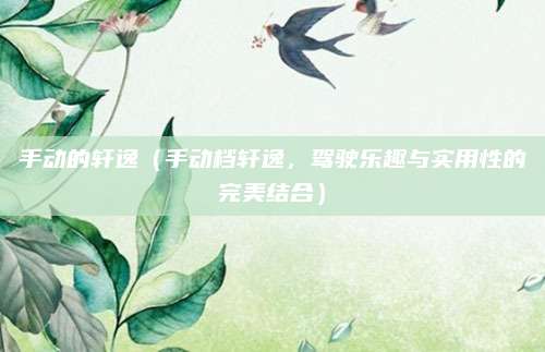 手动的轩逸(手动档轩逸,驾驶乐趣与实用性的完美结合)