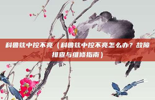 科鲁兹中控不亮（科鲁兹中控不亮怎么办？故障排查与维修指南）
