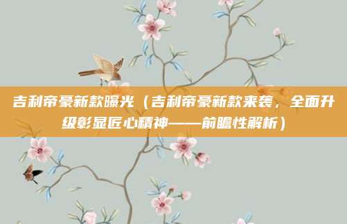 吉利帝豪新款曝光（吉利帝豪新款来袭，全面升级彰显匠心精神——前瞻性解析）