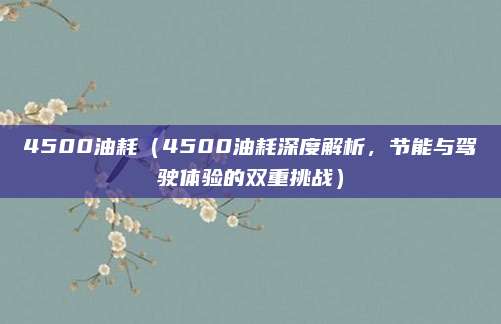 4500油耗（4500油耗深度解析，节能与驾驶体验的双重挑战）