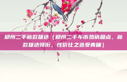 郑州二手新款捷达（郑州二手车市热销盘点，新款捷达领衔，性价比之选受青睐）