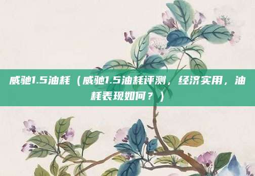 威驰1.5油耗(威驰1.5油耗评测,经济实用,油耗表现如何?)