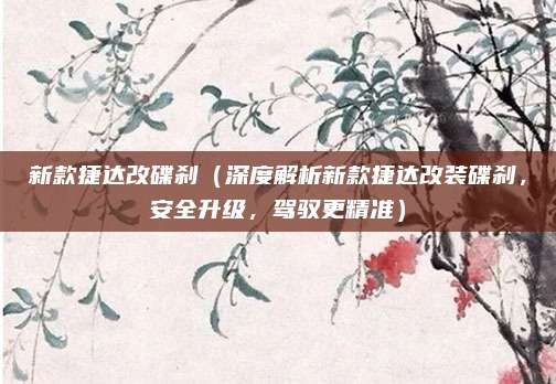 新款捷达改碟刹（深度解析新款捷达改装碟刹，安全升级，驾驭更精准）