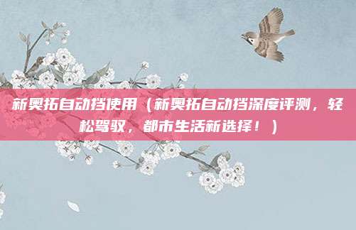 新奥拓自动挡使用（新奥拓自动挡深度评测，轻松驾驭，都市生活新选择！）