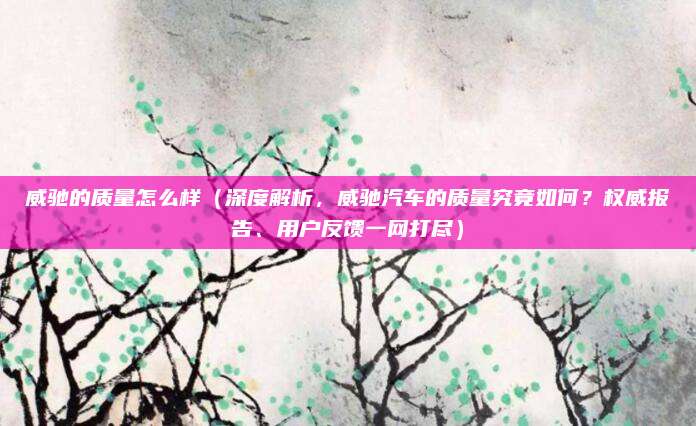 威驰的质量怎么样（深度解析，威驰汽车的质量究竟如何？权威报告、用户反馈一网打尽）